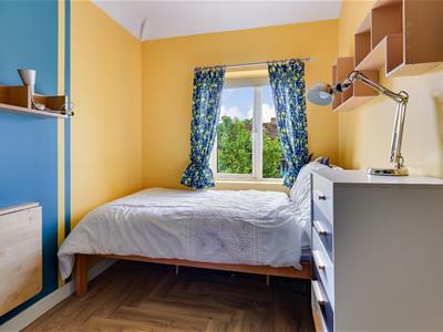 Picture 19